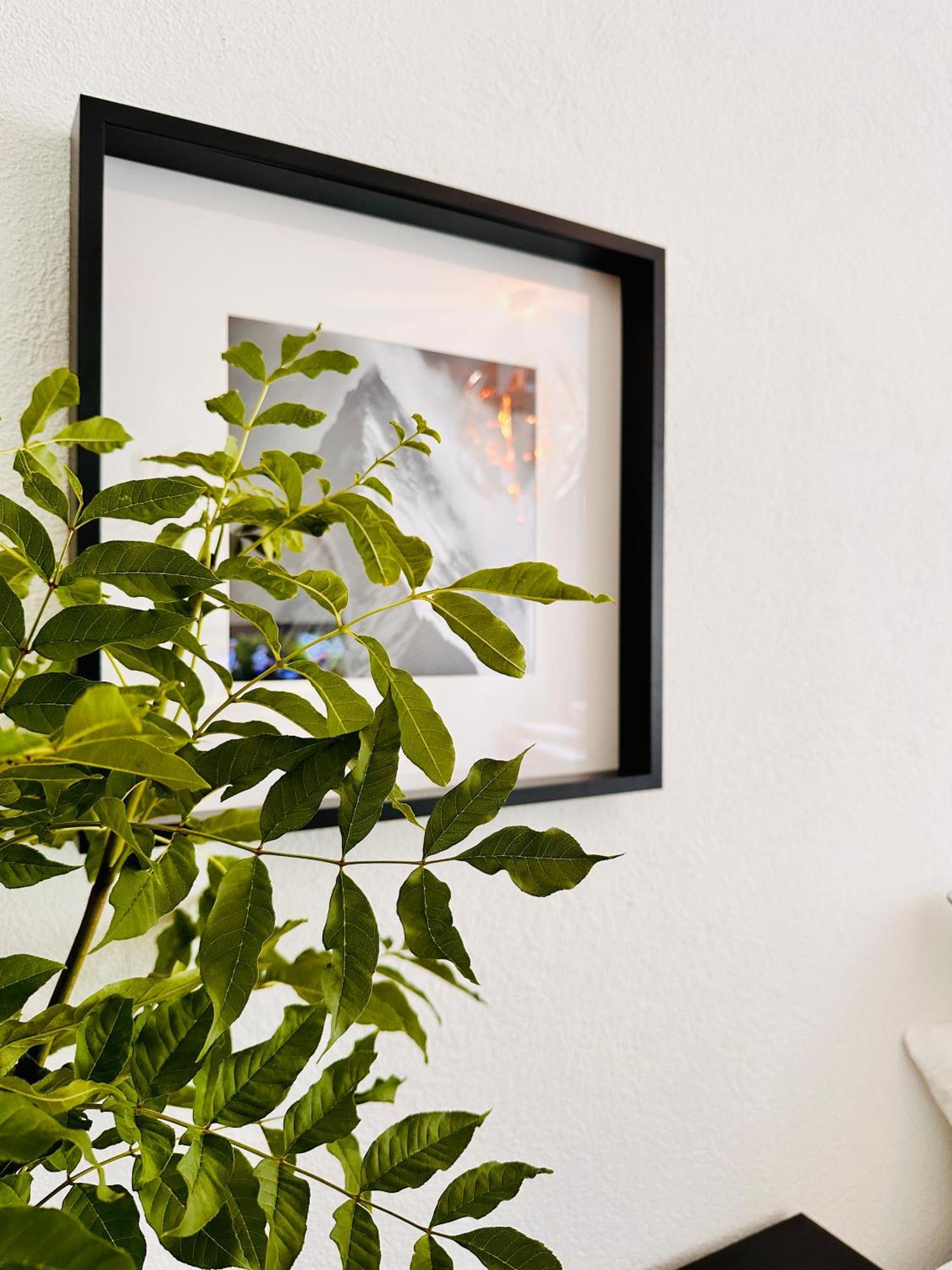 Schoene Ferienwohnung Schottwien Luaran gambar